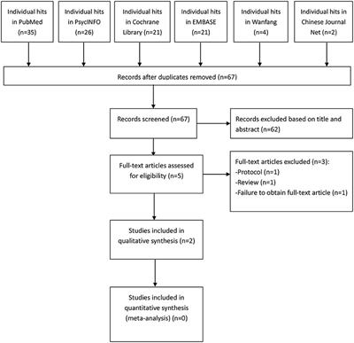 Adjunctive accelerated repetitive transcranial magnetic stimulation for older patients with depression: A systematic review